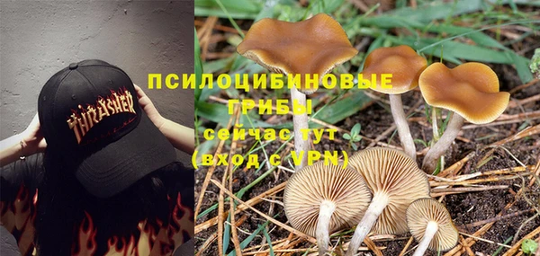 экстази Алексеевка